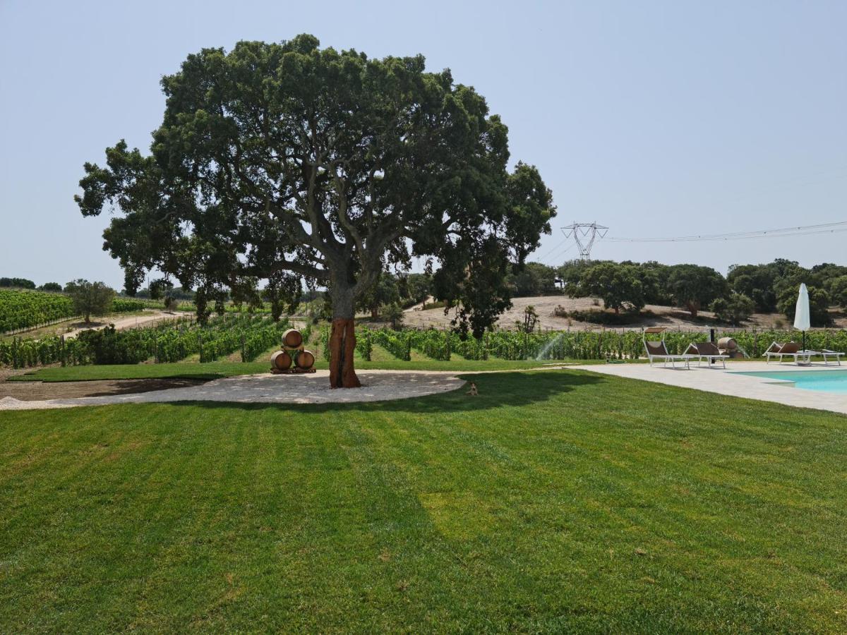 La Vinia Bed&wine Experience - Adults Only Farm stay Sassari