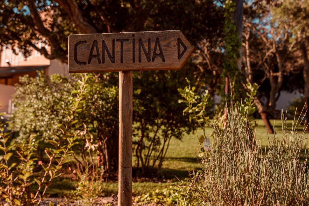 La Vinia Bed&wine Experience - Adults Only Farm stay