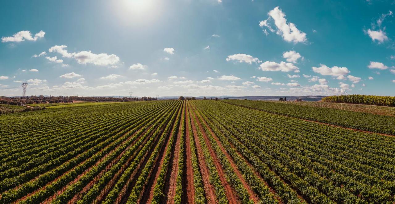 Farm stay La Vinia Bed&wine Experience - Adults Only
